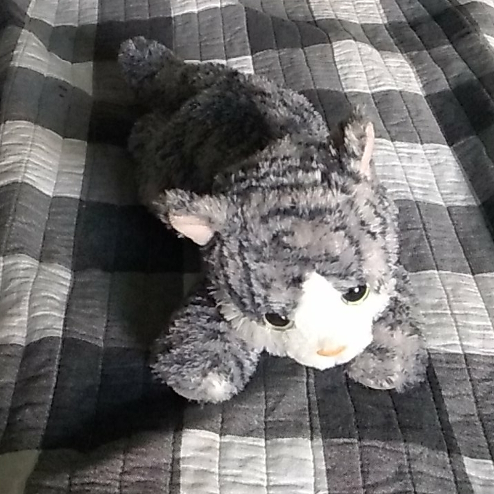 Stuffed kitty